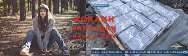 трава Козельск