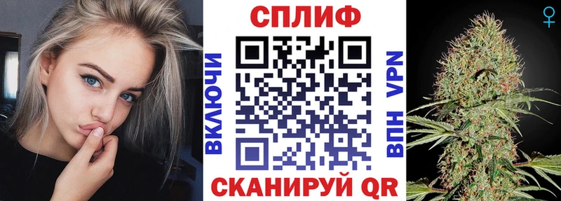 Купить закладки  Отрадный  Конопля AK-47 